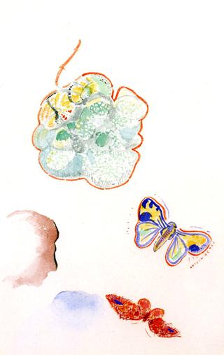 花卉蝴蝶和侧影