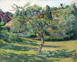 Landscape at Creuse with Tree