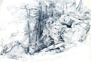 Rocks and Trees (Conanicut Island?)