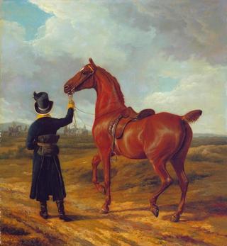 里弗斯勋爵新郎带领一个栗子猎人去汉普郡的一个赛马会