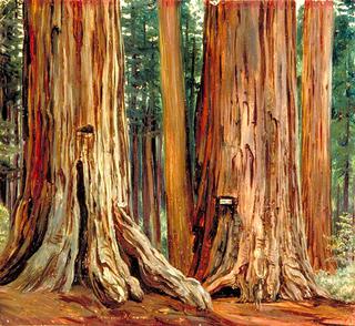 'Castor and Pollux' in the Calaveras Grove of Big Trees, California
