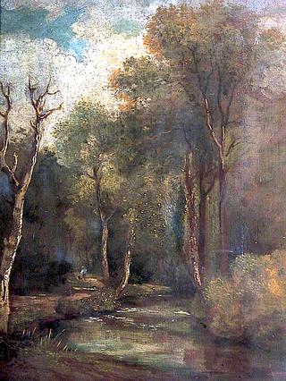 一条小溪，一个人和一条狗的森林景色