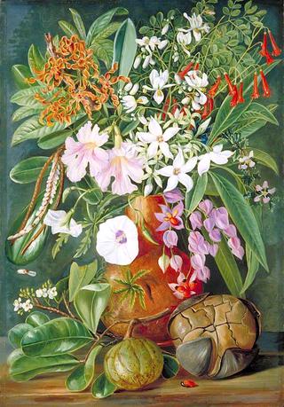 A Selection of Flowers, Wild and Cultivated, with Puzzle Nut, Mahé
