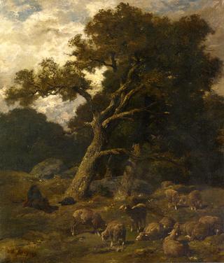 Shepherd and his Sheep in Fontaineblelau Forest