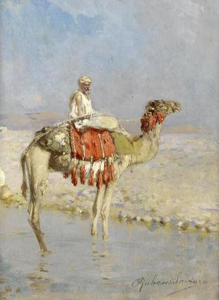 Crossing the River on a Camel