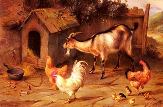 Fowl, Chicks And Goats By A Dog Kennel