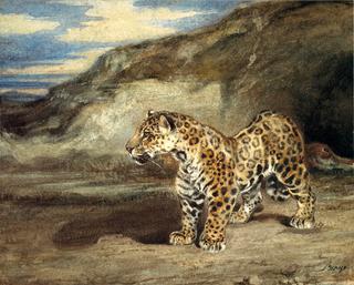 Jaguar in a Landscape
