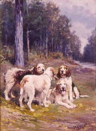 Hunting Dogs in the Forest