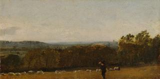 一个牧羊人在一片风景中穿过迪德姆山谷朝着兰厄姆望去