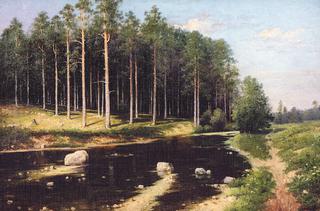 Pine Forest on the Riverbank