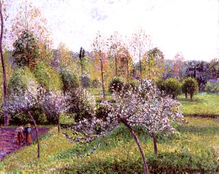 Apple Trees in Flower, Eragny