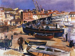 Collioure. Port with boats