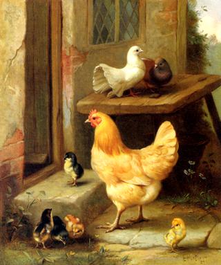 A Hen, Chicks And Pigeons