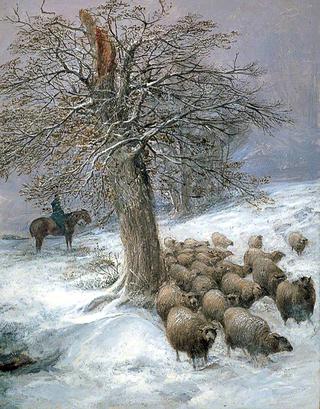 雪地里的羊