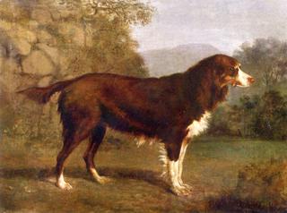 Portrait of a Dog in a Landscape