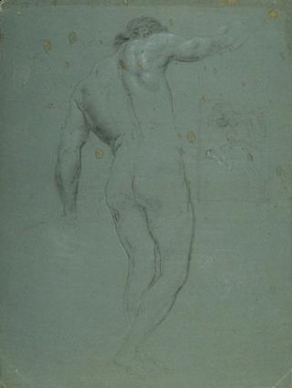 Study of a Naked Male from the Back