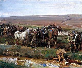 1917年，加拿大军队在法国为马饮水