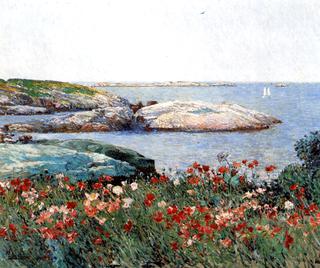 Poppies, Isles of Shoals