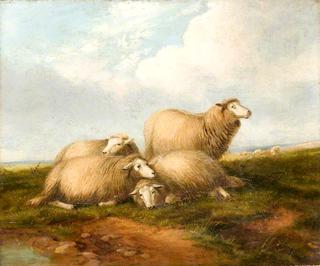 羊群风景