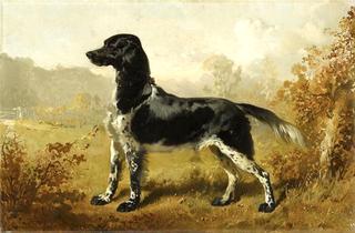 Monsieur le Duc d'Aumale's Dog