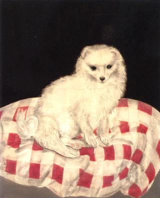 Dog Seated on a Red and White Cushion