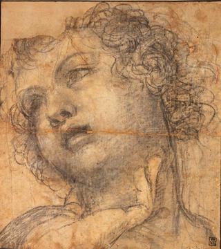 Study for the Head of Cupid
