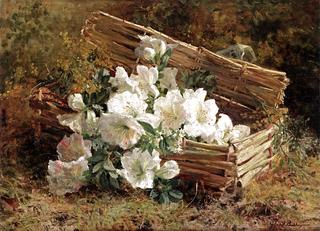 White Azaleas and Mimosas in a Wicker Basket on a Forest Floor