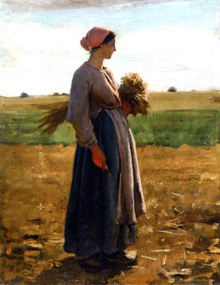 Young Woman in the Fields