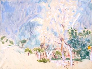 Landscape of Cannet, White Trees