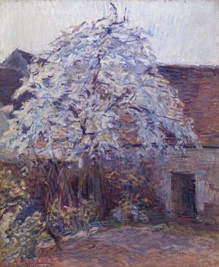 Courtyard in Spring