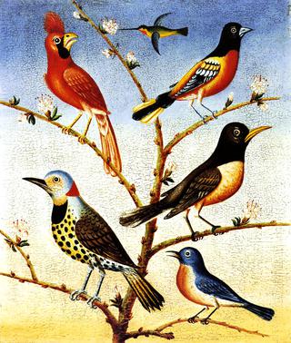 蜂鸟，红鸟，巴尔的摩鸟，罗宾，闪光，蓝鸟
