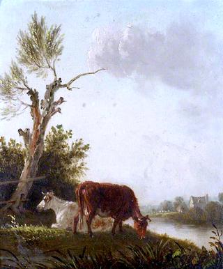 两头母牛在河边