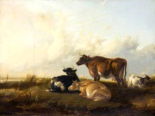 风景中的牛