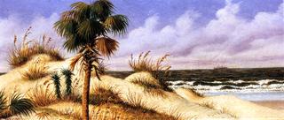 Florida Seascape with Sand Dune, Palm Tree, and Steamship
