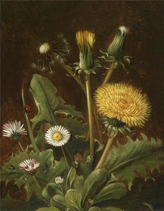 Still Life with dandelions