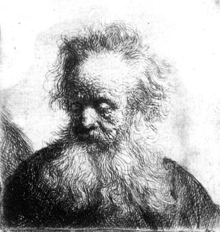 Old Man with Flowing Beard Looking Down