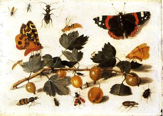 Butterflies and Insects and a Spray of Gooseberries
