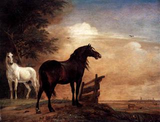Two Horses near a Gate in the Meadow