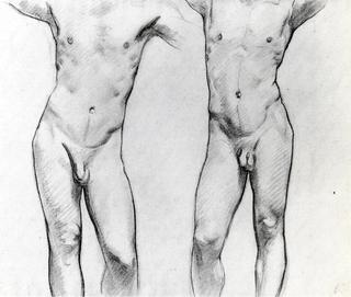 两个男性裸体的躯干