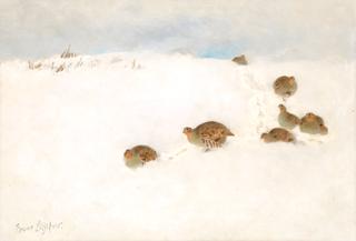 Partridges in the Snow