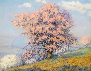 Spring blossom on a hill
