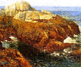 Kelp-Covered Rocks, Isle of Shoals