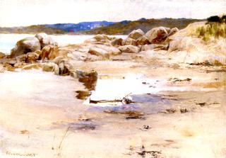 Coffin's Beach, Annisquam