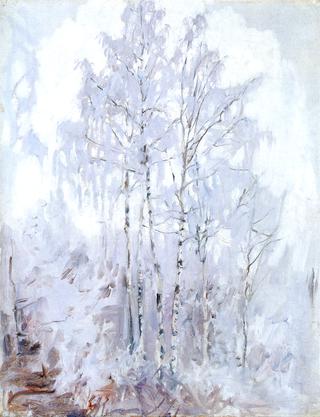 霜桦树