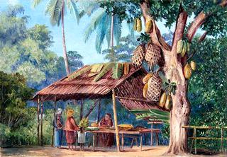 Jack Fruit Tree Shop, Malang, Java