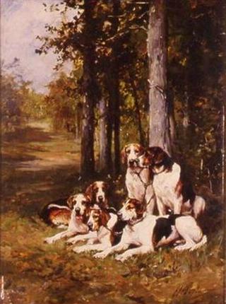 Group of Dogs in the Forest