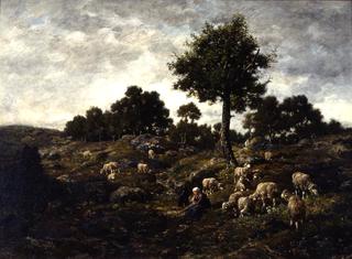 羊群风景