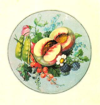 Fruit pieces in a circle