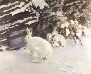 Winter Hare by a Fence
