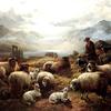 高地牧羊人